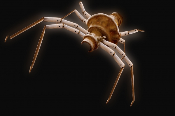 Creation of Spider trinket: Step 6